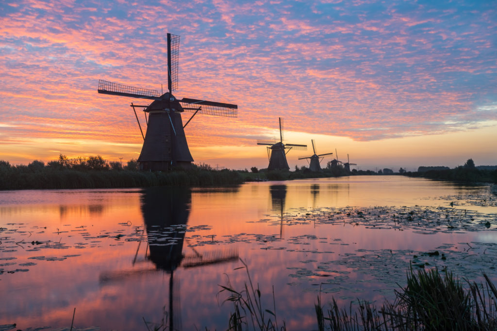 Holidays and Days Off in the Netherlands 2026 – A Guide for Employees and Employers